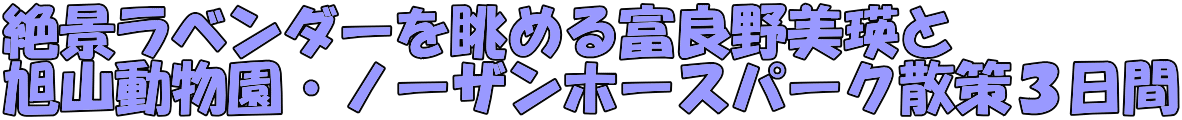 絶景ラベンダーを眺める富良野美瑛と 旭山動物園・ノーザンホースパーク散策３日間 
